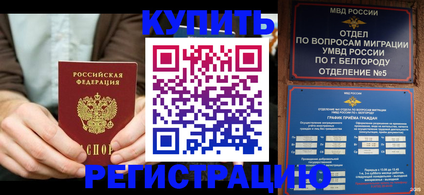 прописка 2025 в Дорогобуже